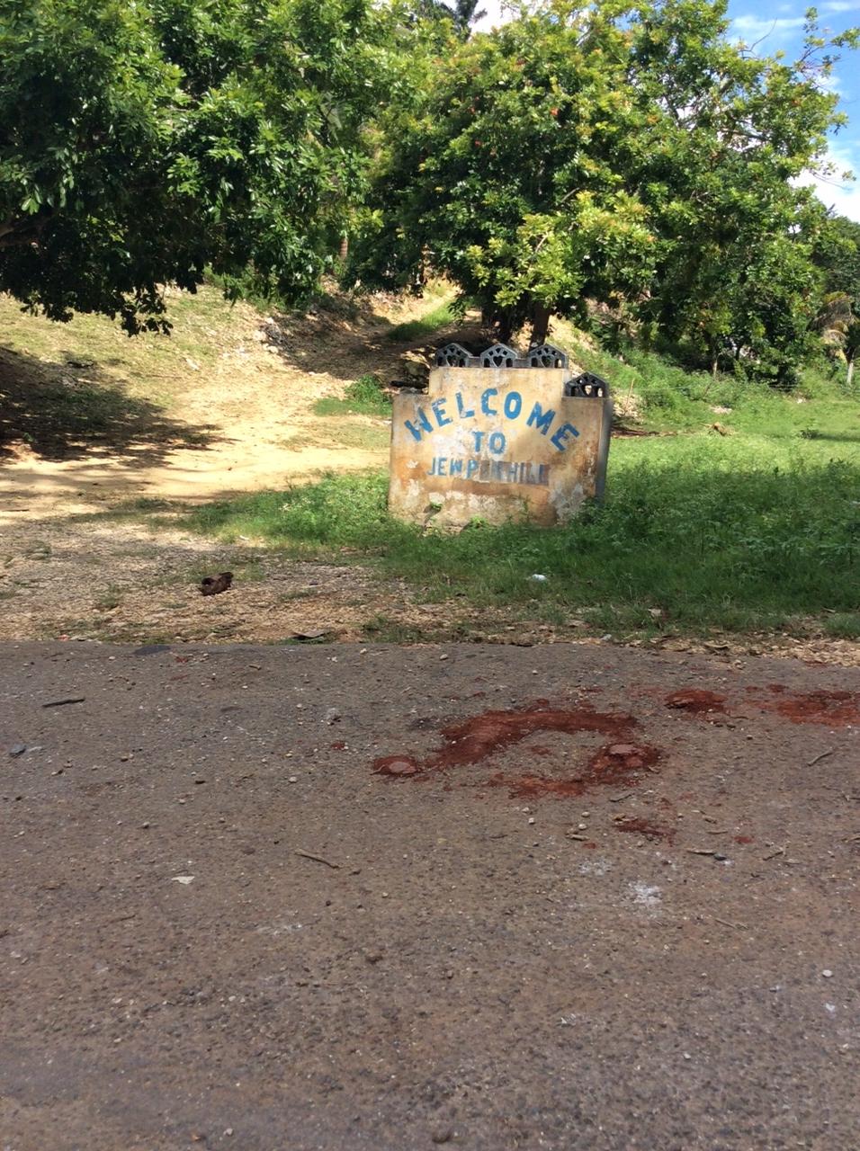 Twenty-Fourth image of Bowerswood St. Catherine in Bog Walk, St. Catherine, Jamaica - property is For Sale