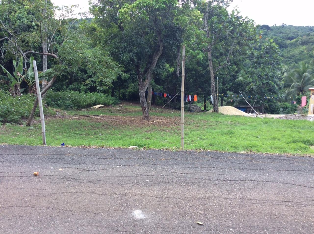 Fourth image of Bowerswood St. Catherine in Bog Walk, St. Catherine, Jamaica - property is For Sale