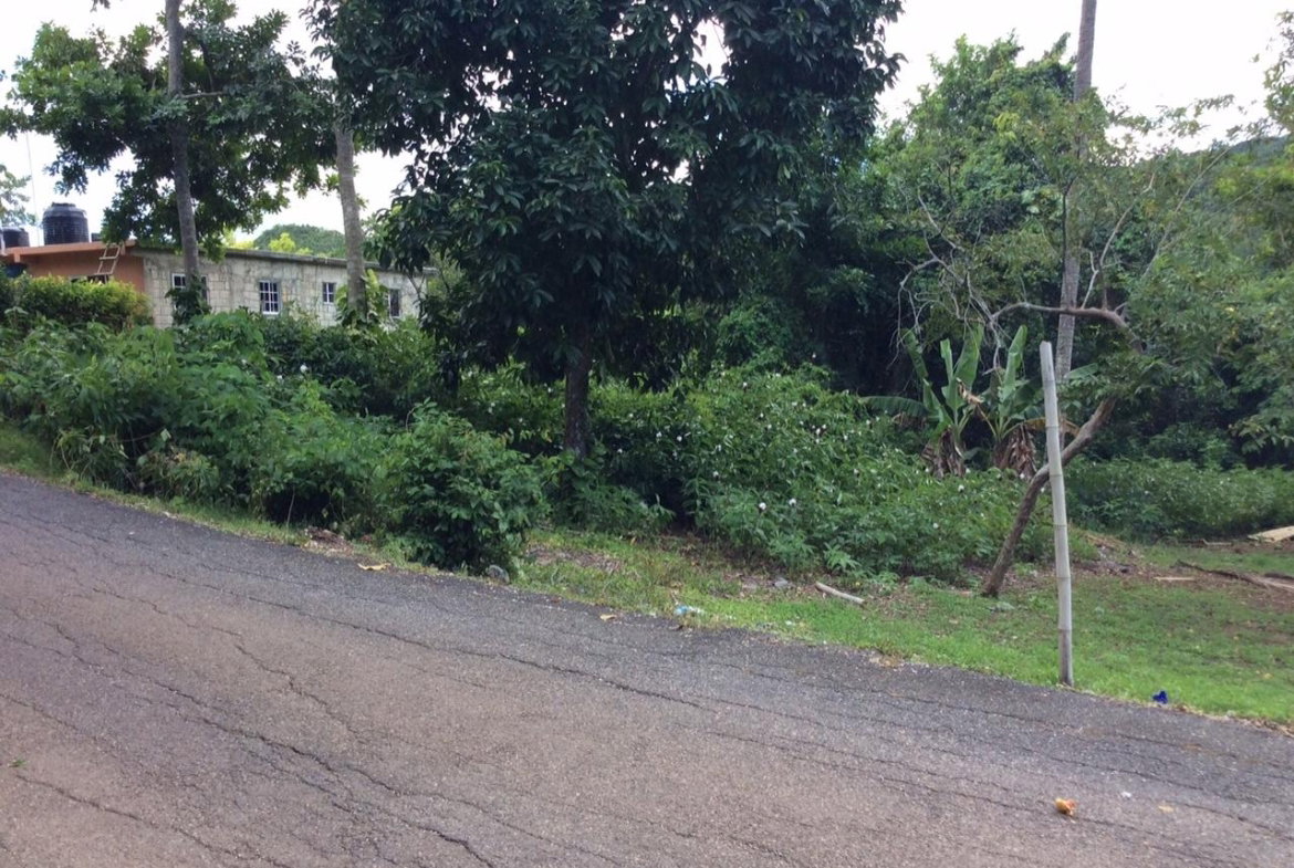 Fifth image of Bowerswood St. Catherine in Bog Walk, St. Catherine, Jamaica - property is For Sale