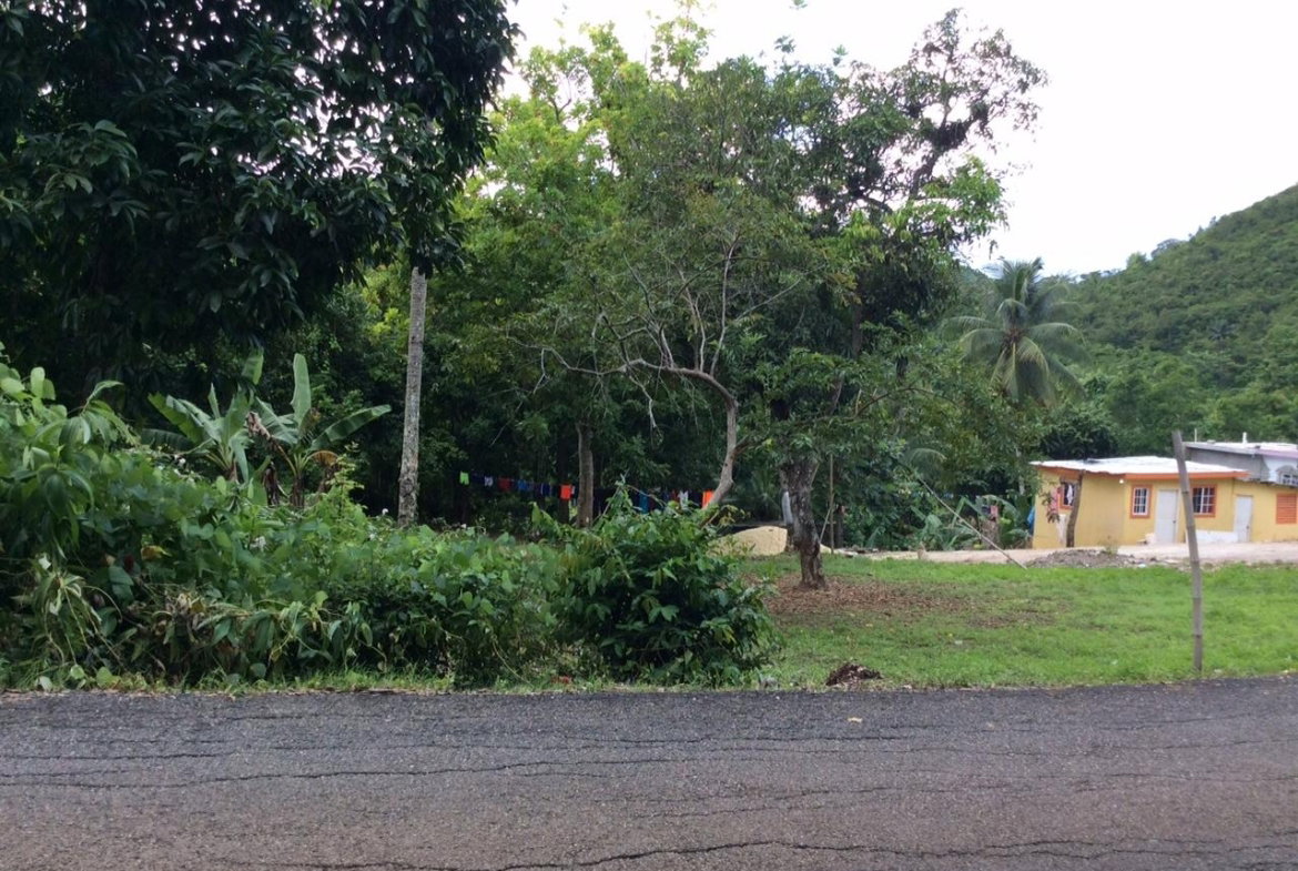 Seventh image of Bowerswood St. Catherine in Bog Walk, St. Catherine, Jamaica - property is For Sale
