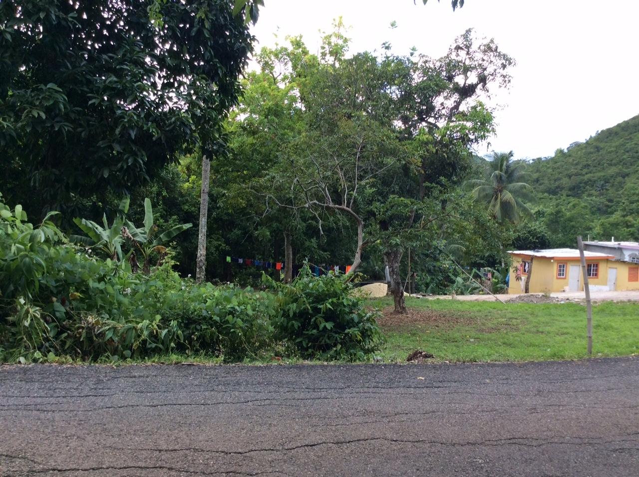 Seventh image of Bowerswood St. Catherine in Bog Walk, St. Catherine, Jamaica - property is For Sale