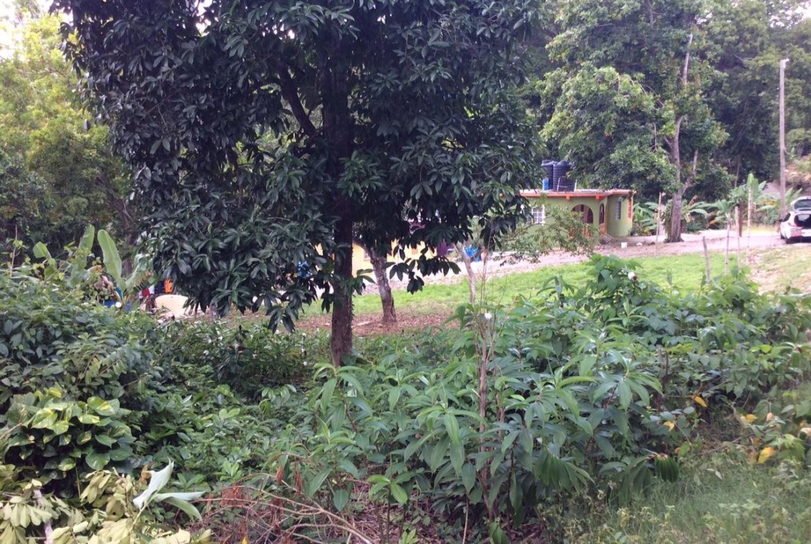 Eighth image of Bowerswood St. Catherine in Bog Walk, St. Catherine, Jamaica - property is For Sale