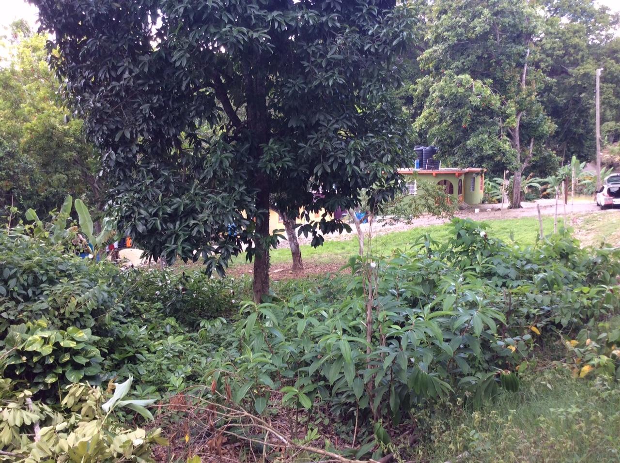 Eighth image of Bowerswood St. Catherine in Bog Walk, St. Catherine, Jamaica - property is For Sale