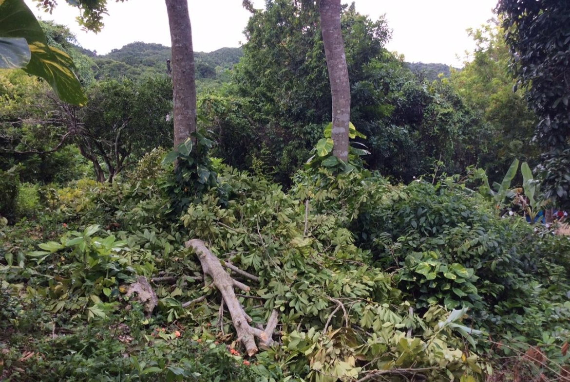 Ninth image of Bowerswood St. Catherine in Bog Walk, St. Catherine, Jamaica - property is For Sale