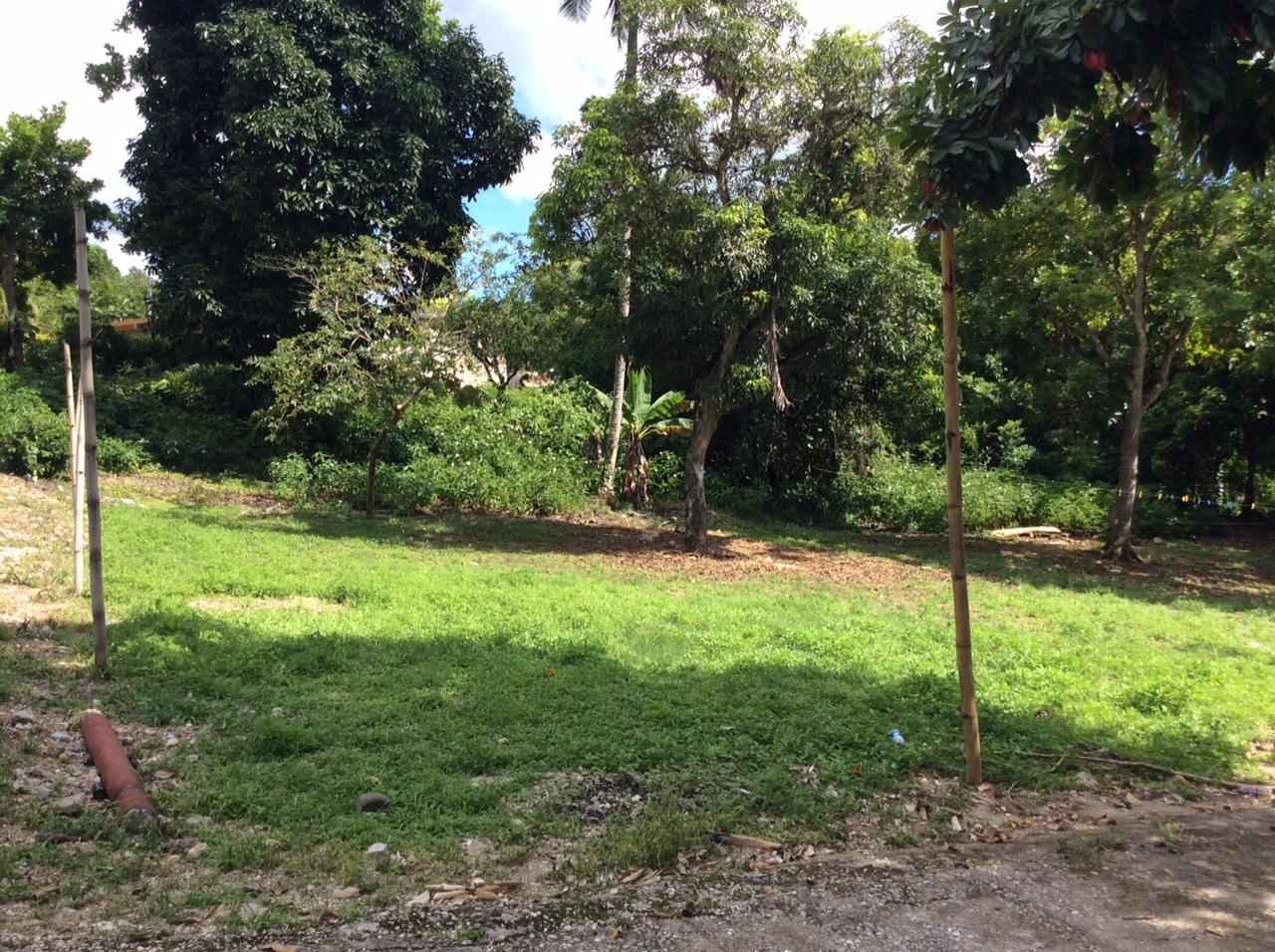 First image of Bowerswood St. Catherine in Bog Walk, St. Catherine, Jamaica - property is For Sale