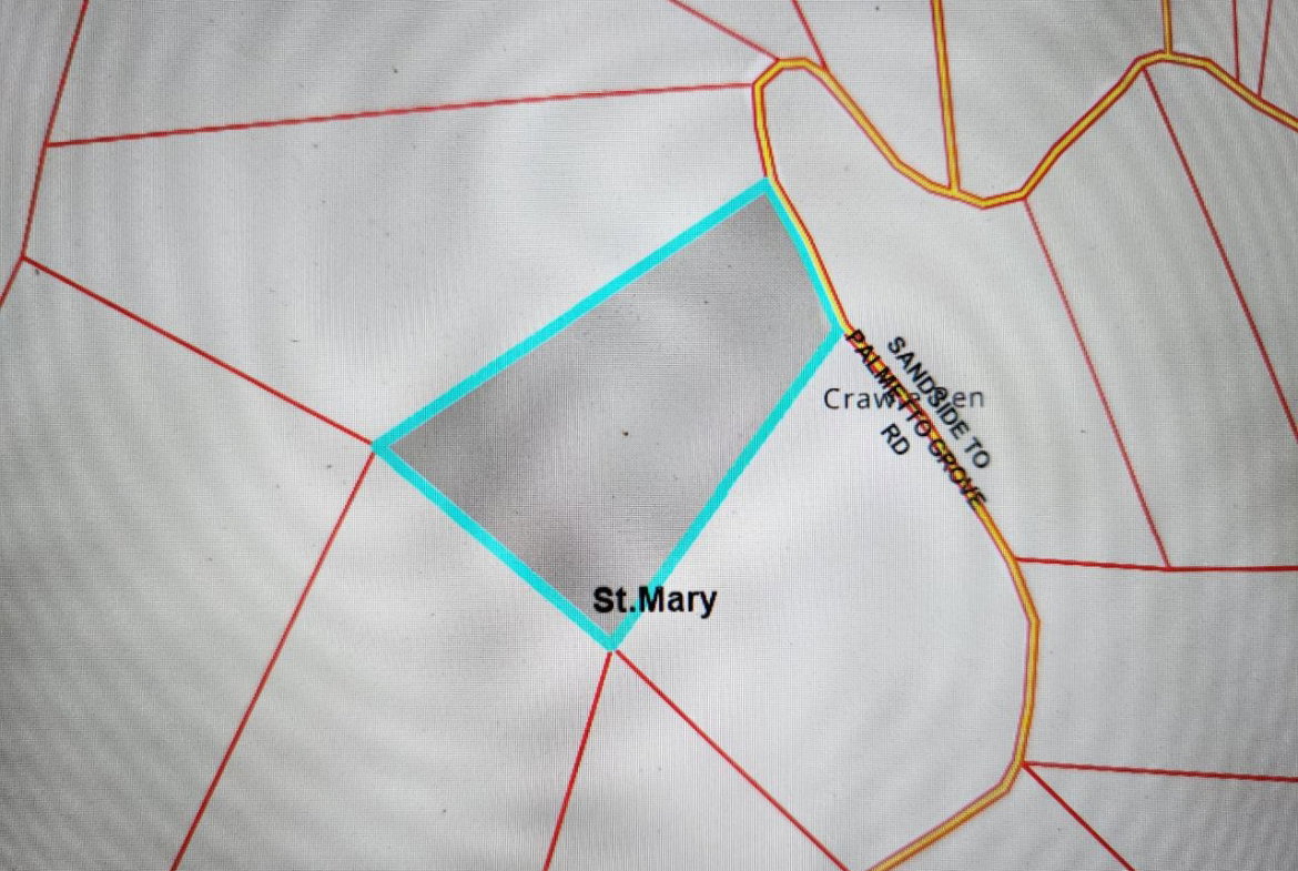 Second image of Lot 42- Crawle Estate, St. Mary in Kilancholly, St. Mary, Jamaica - property is For Sale