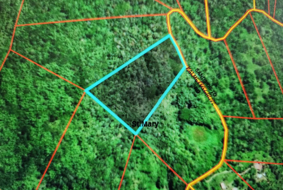 Third image of Lot 42- Crawle Estate, St. Mary in Kilancholly, St. Mary, Jamaica - property is For Sale