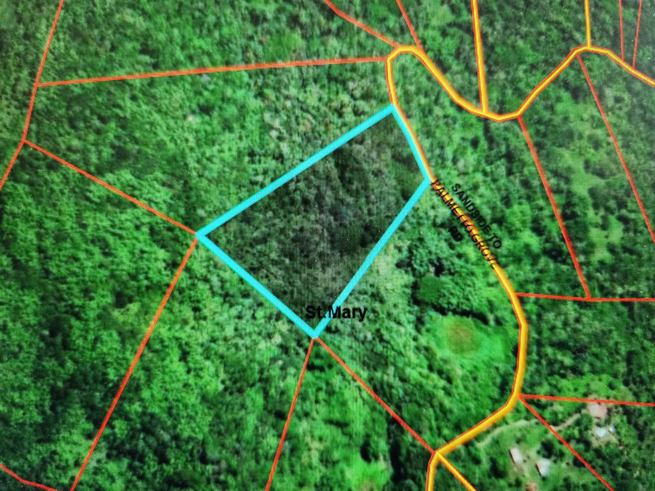 Third image of Lot 42- Crawle Estate, St. Mary in Kilancholly, St. Mary, Jamaica - property is For Sale