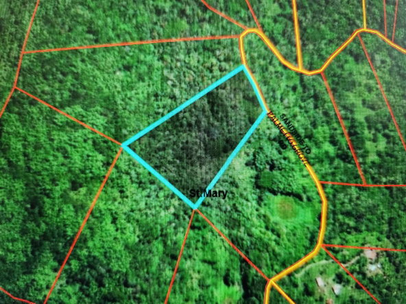 Third image of Lot 42- Crawle Estate, St. Mary in Kilancholly, St. Mary, Jamaica - property is For Sale