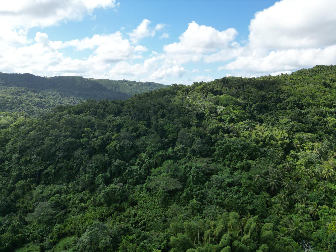 First image of Lot 42- Crawle Estate, St. Mary in Kilancholly, St. Mary, Jamaica - property is For Sale