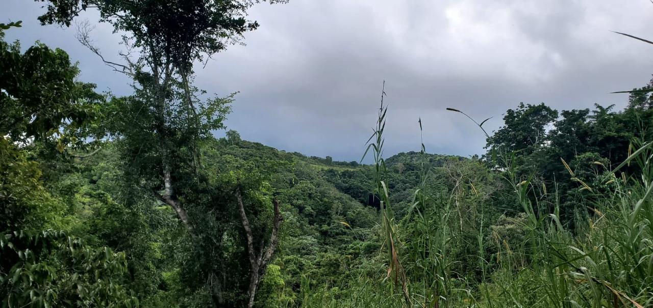 Second image of Sligoville, Pimento Mount in Sligoville, St. Catherine, Jamaica - property is For Sale
