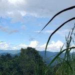 First image of Sligoville, Pimento Mount in Sligoville, St. Catherine, Jamaica - property is For Sale