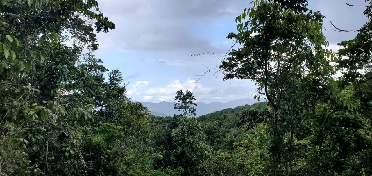 Third image of Sligoville, Pimento Mount in Sligoville, St. Catherine, Jamaica - property is For Sale