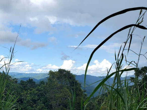 First image of Sligoville, Pimento Mount in Sligoville, St. Catherine, Jamaica - property is For Sale