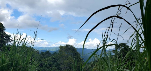 First image of Sligoville, Pimento Mount in Sligoville, St. Catherine, Jamaica - property is For Sale