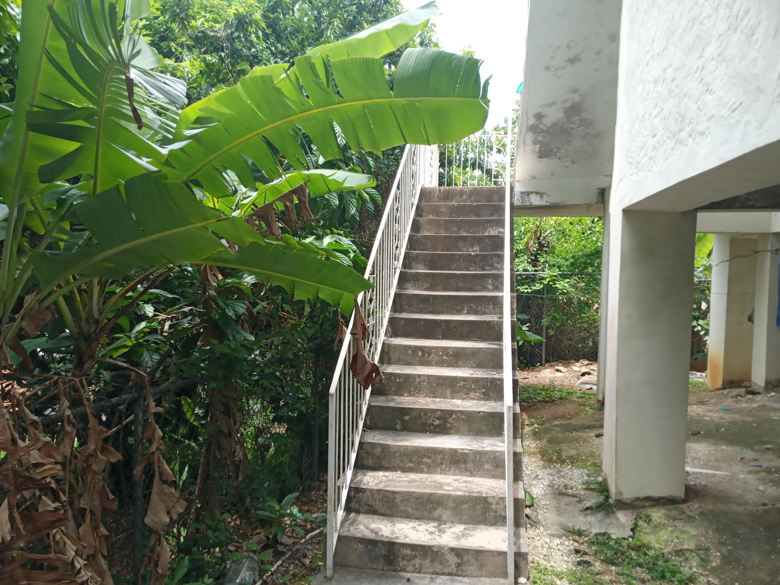 Sixth image of 390 Farm Heights Boulevard in Farm Heights, St. James, Jamaica - property is For Sale