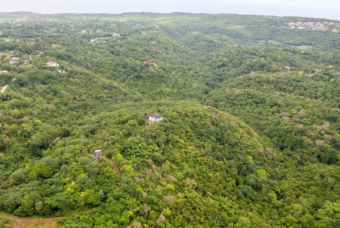 Fourteenth image of Lot 8 & 9 Part of Upton in Upton, St. Ann, Jamaica - property is For Sale