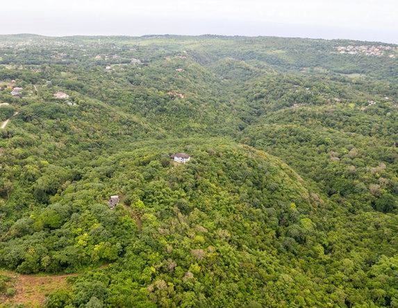 Fourteenth image of Lot 8 & 9 Part of Upton in Upton, St. Ann, Jamaica - property is For Sale