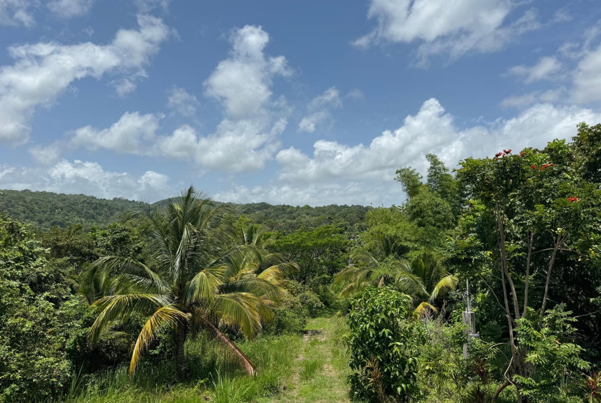 Fifth image of Lot 8 & 9 Part of Upton in Upton, St. Ann, Jamaica - property is For Sale