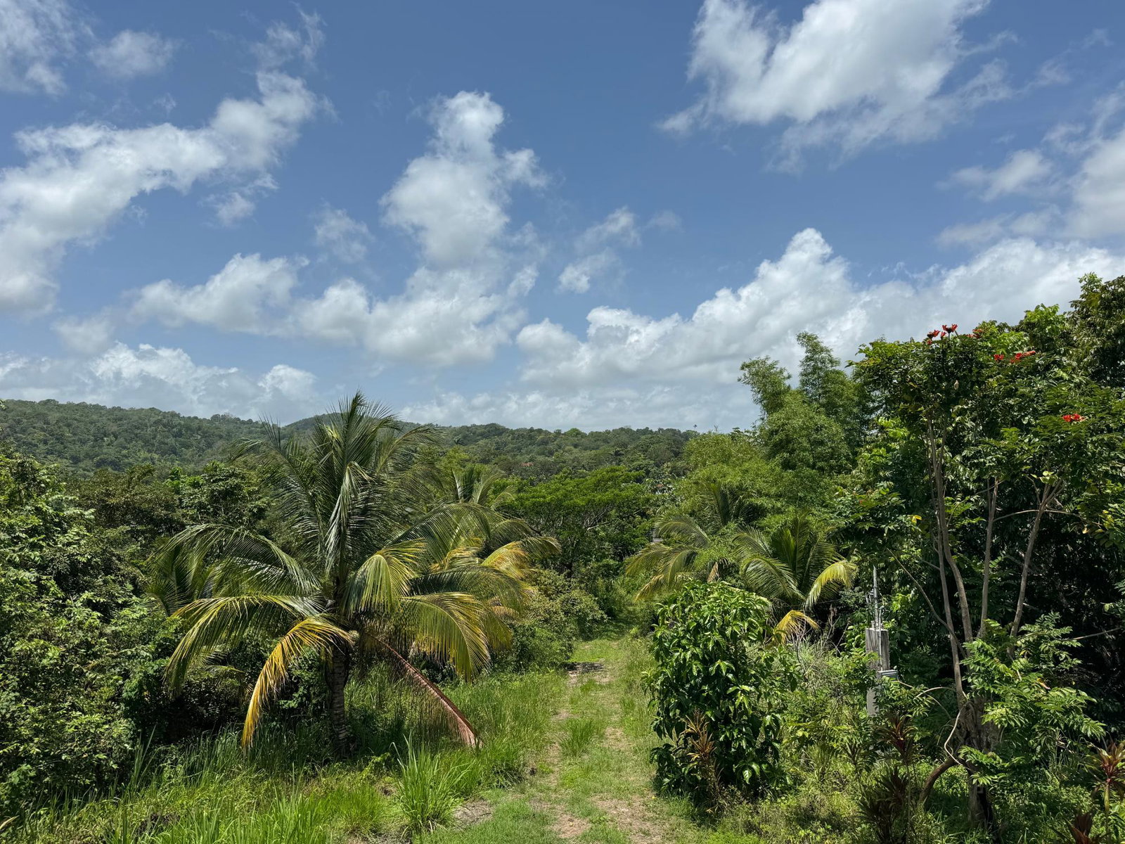 Fifth image of Lot 8 & 9 Part of Upton in Upton, St. Ann, Jamaica - property is For Sale