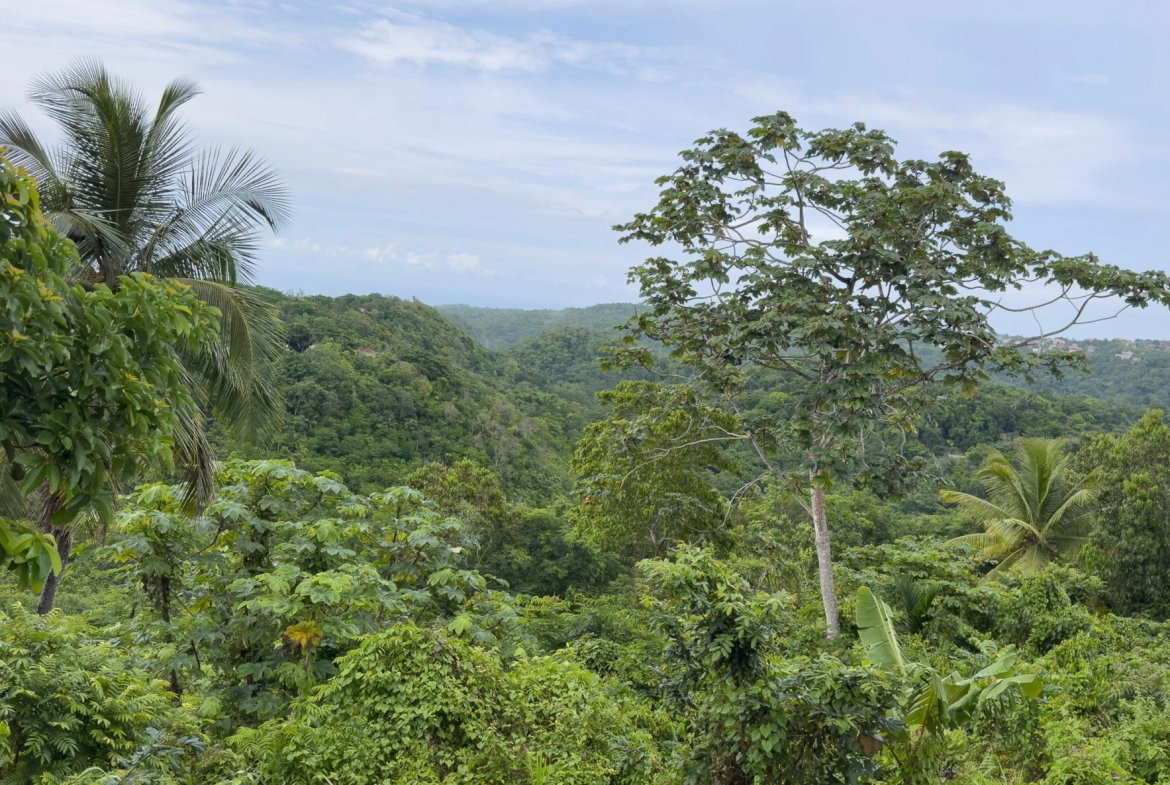 Sixth image of Lot 8 & 9 Part of Upton in Upton, St. Ann, Jamaica - property is For Sale