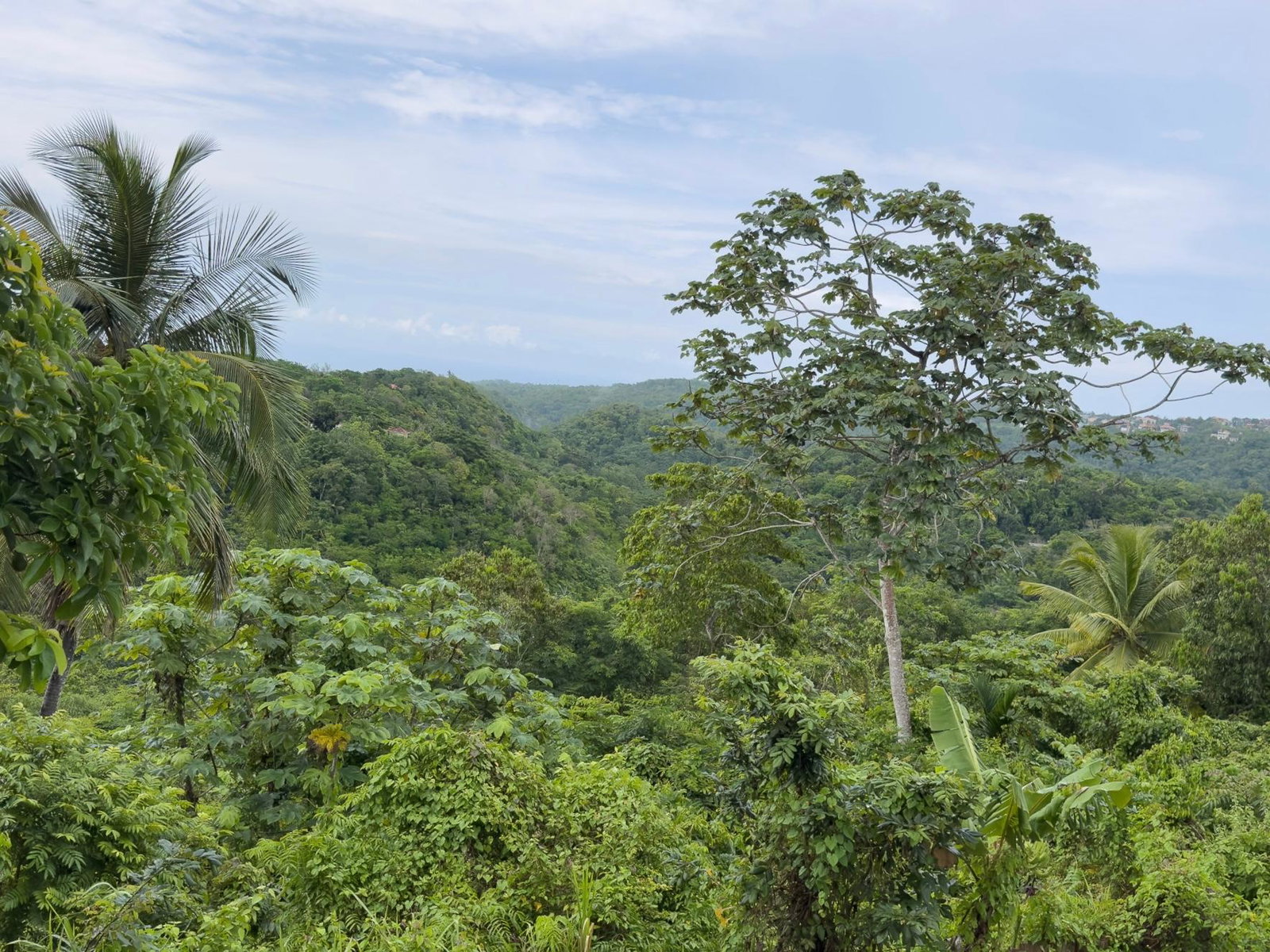 Sixth image of Lot 8 & 9 Part of Upton in Upton, St. Ann, Jamaica - property is For Sale