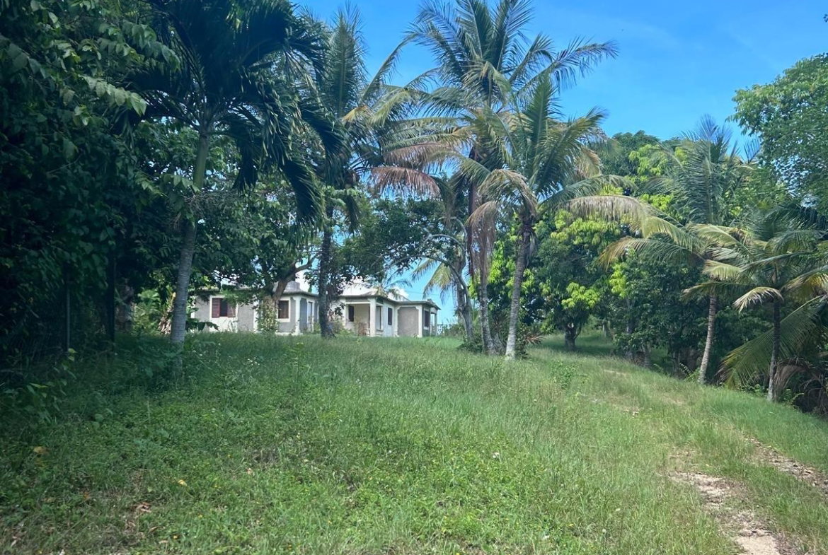 Seventh image of Lot 8 & 9 Part of Upton in Upton, St. Ann, Jamaica - property is For Sale