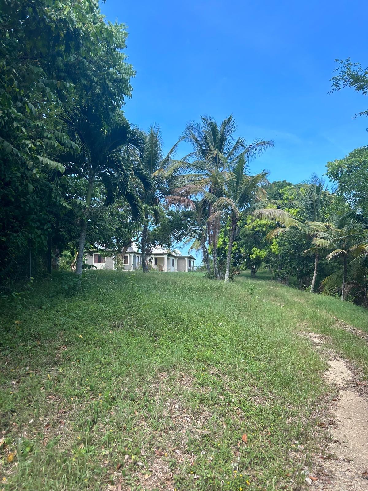 Seventh image of Lot 8 & 9 Part of Upton in Upton, St. Ann, Jamaica - property is For Sale