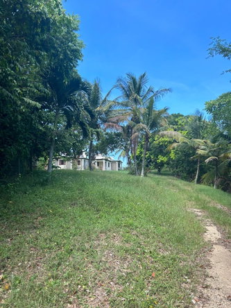 Seventh image of Lot 8 & 9 Part of Upton in Upton, St. Ann, Jamaica - property is For Sale