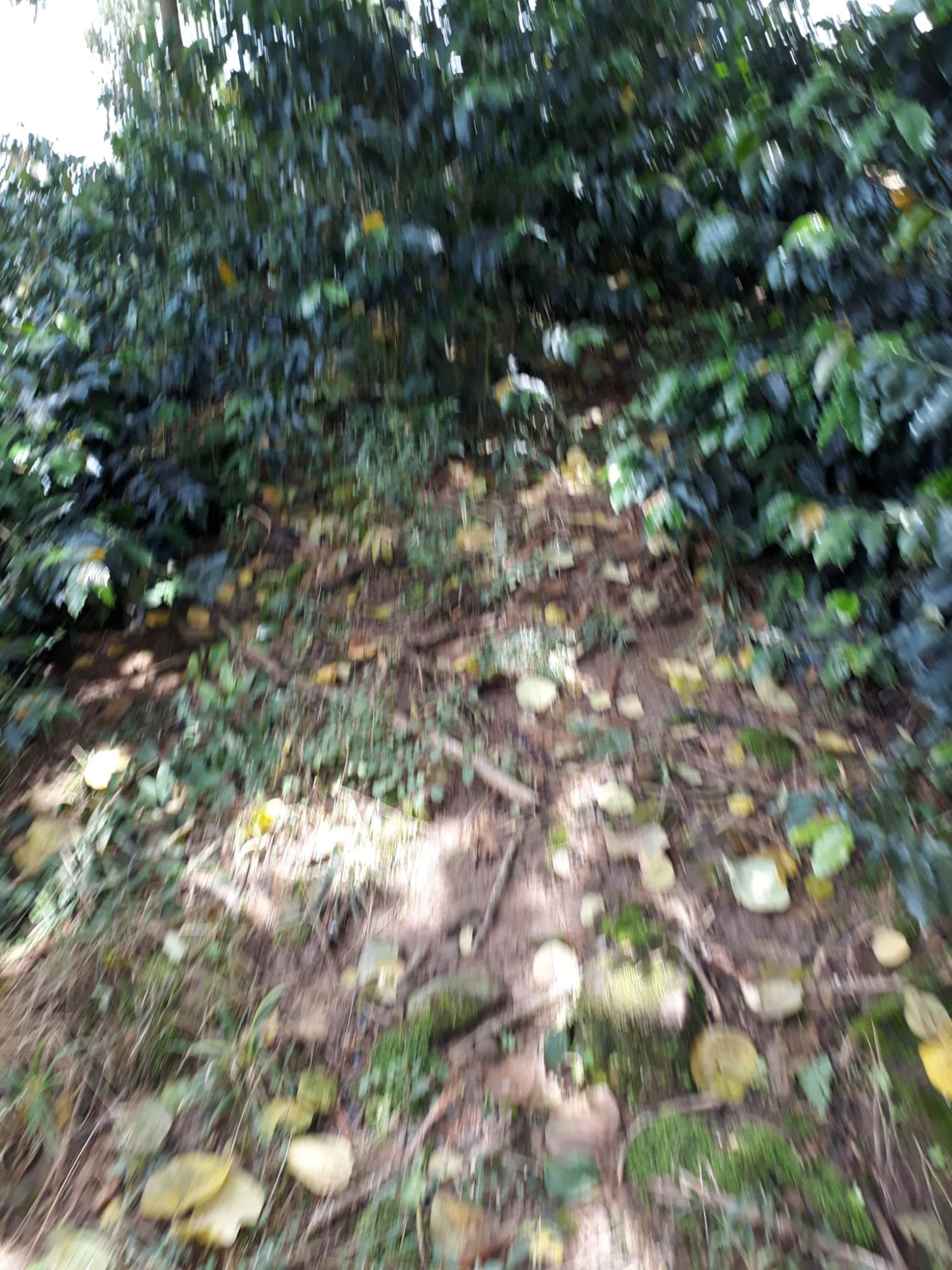 Nineteenth image of Wray Piece, Spring Hill in Spring Hill, Portland, Jamaica - property is For Sale