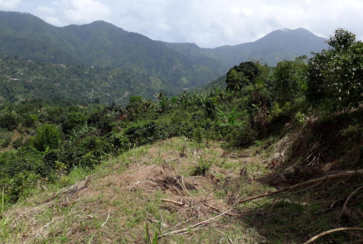 Thirtieth image of Wray Piece, Spring Hill in Spring Hill, Portland, Jamaica - property is For Sale
