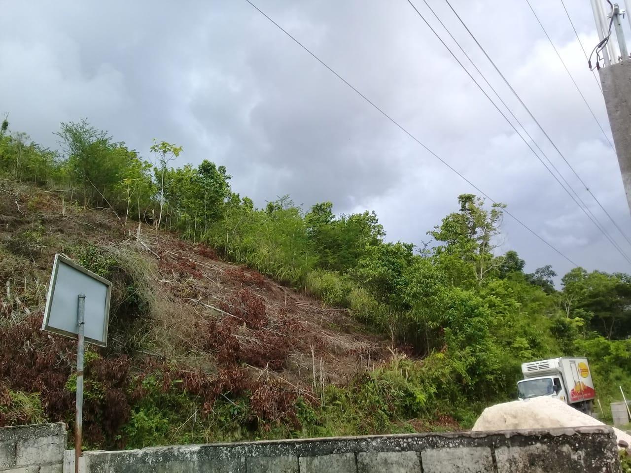 Eleventh image of 8 Roehampton District in Roehamton, St. James, Jamaica - property is For Sale