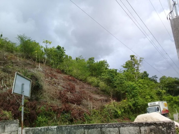 Eleventh image of 8 Roehampton District in Roehamton, St. James, Jamaica - property is For Sale