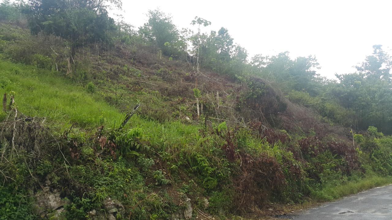 Twelfth image of 8 Roehampton District in Roehamton, St. James, Jamaica - property is For Sale