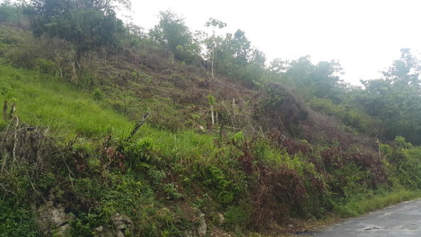 Twelfth image of 8 Roehampton District in Roehamton, St. James, Jamaica - property is For Sale