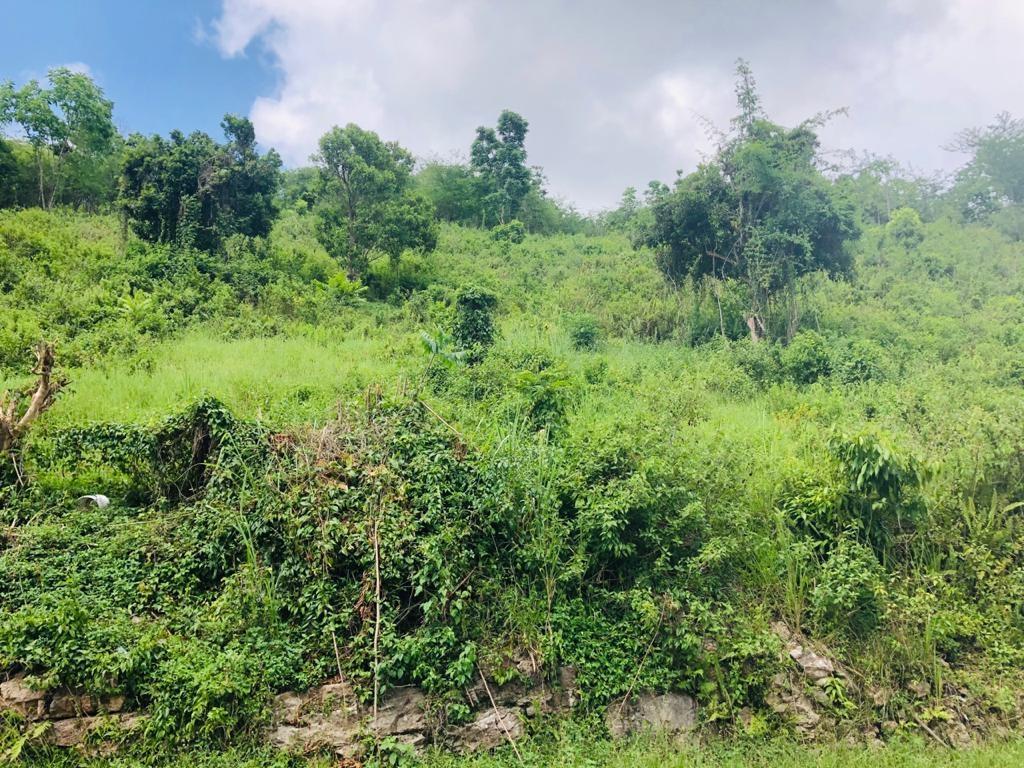 Thirteenth image of 8 Roehampton District in Roehamton, St. James, Jamaica - property is For Sale