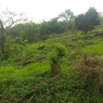 First image of 8 Roehampton District in Roehamton, St. James, Jamaica - property is For Sale