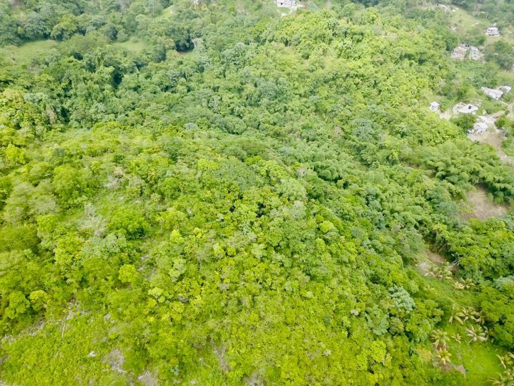 Third image of 8 Roehampton District in Roehamton, St. James, Jamaica - property is For Sale