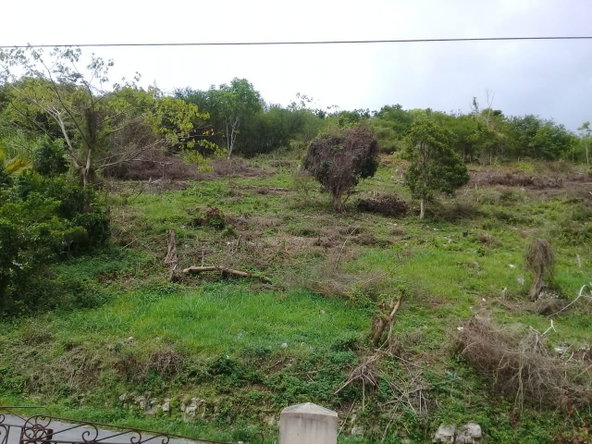 Fourth image of 8 Roehampton District in Roehamton, St. James, Jamaica - property is For Sale