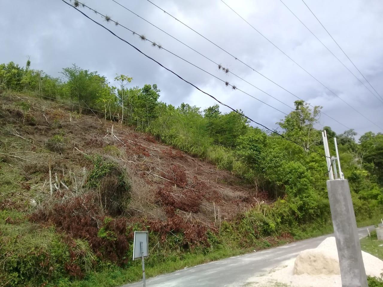 Fifth image of 8 Roehampton District in Roehamton, St. James, Jamaica - property is For Sale