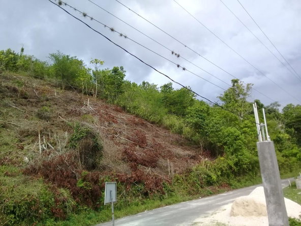 Fifth image of 8 Roehampton District in Roehamton, St. James, Jamaica - property is For Sale