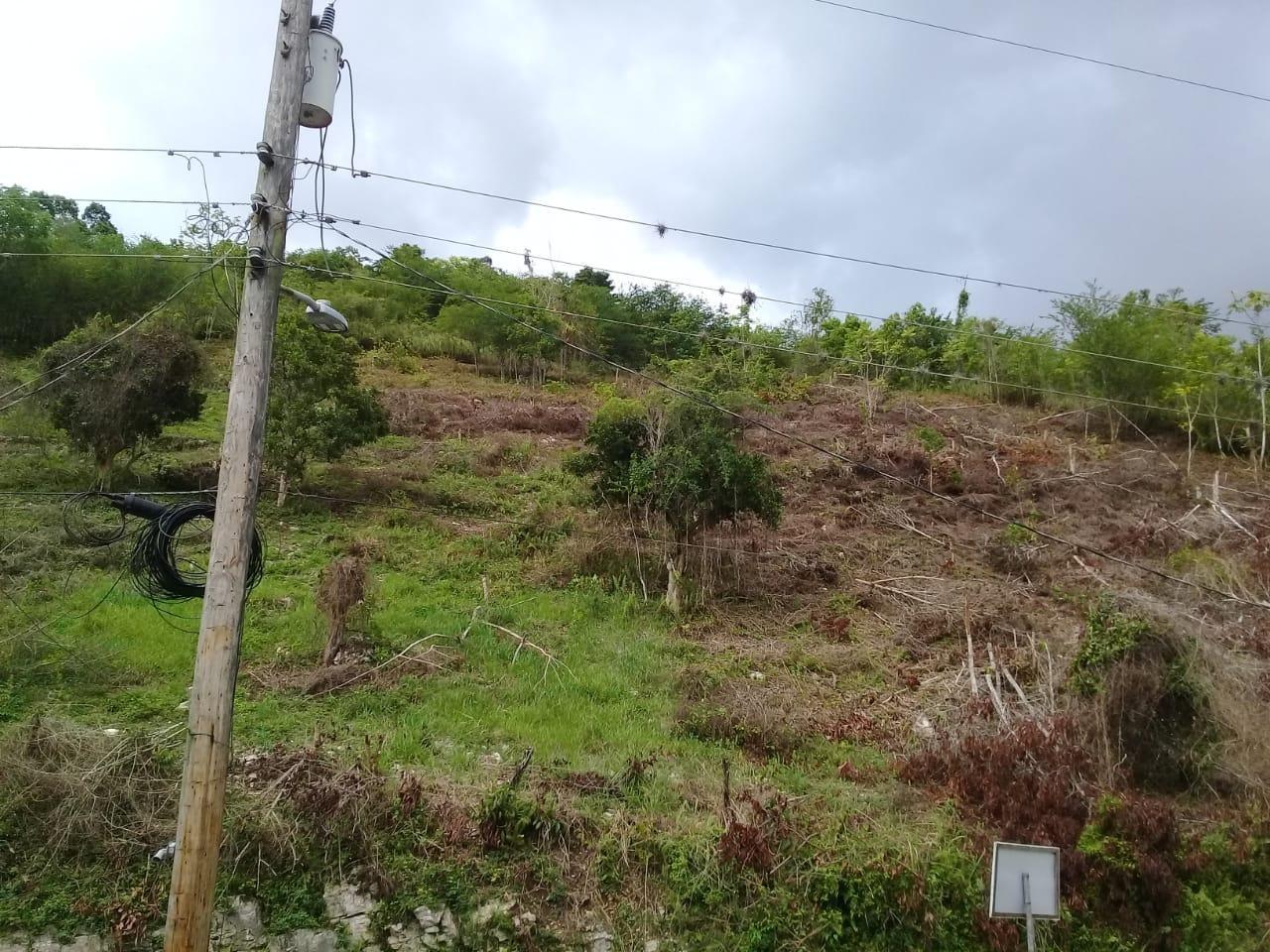 Sixth image of 8 Roehampton District in Roehamton, St. James, Jamaica - property is For Sale
