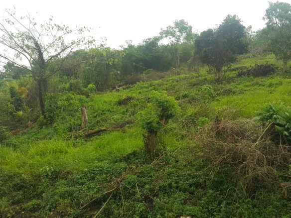 First image of 8 Roehampton District in Roehamton, St. James, Jamaica - property is For Sale