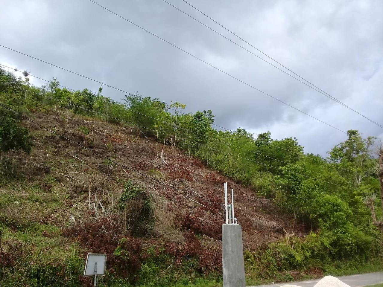 Seventh image of 8 Roehampton District in Roehamton, St. James, Jamaica - property is For Sale
