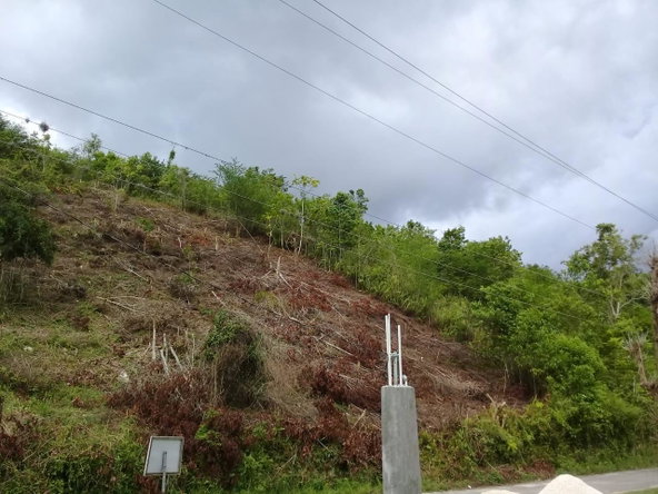 Eighth image of 8 Roehampton District in Roehamton, St. James, Jamaica - property is For Sale