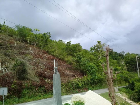 Ninth image of 8 Roehampton District in Roehamton, St. James, Jamaica - property is For Sale