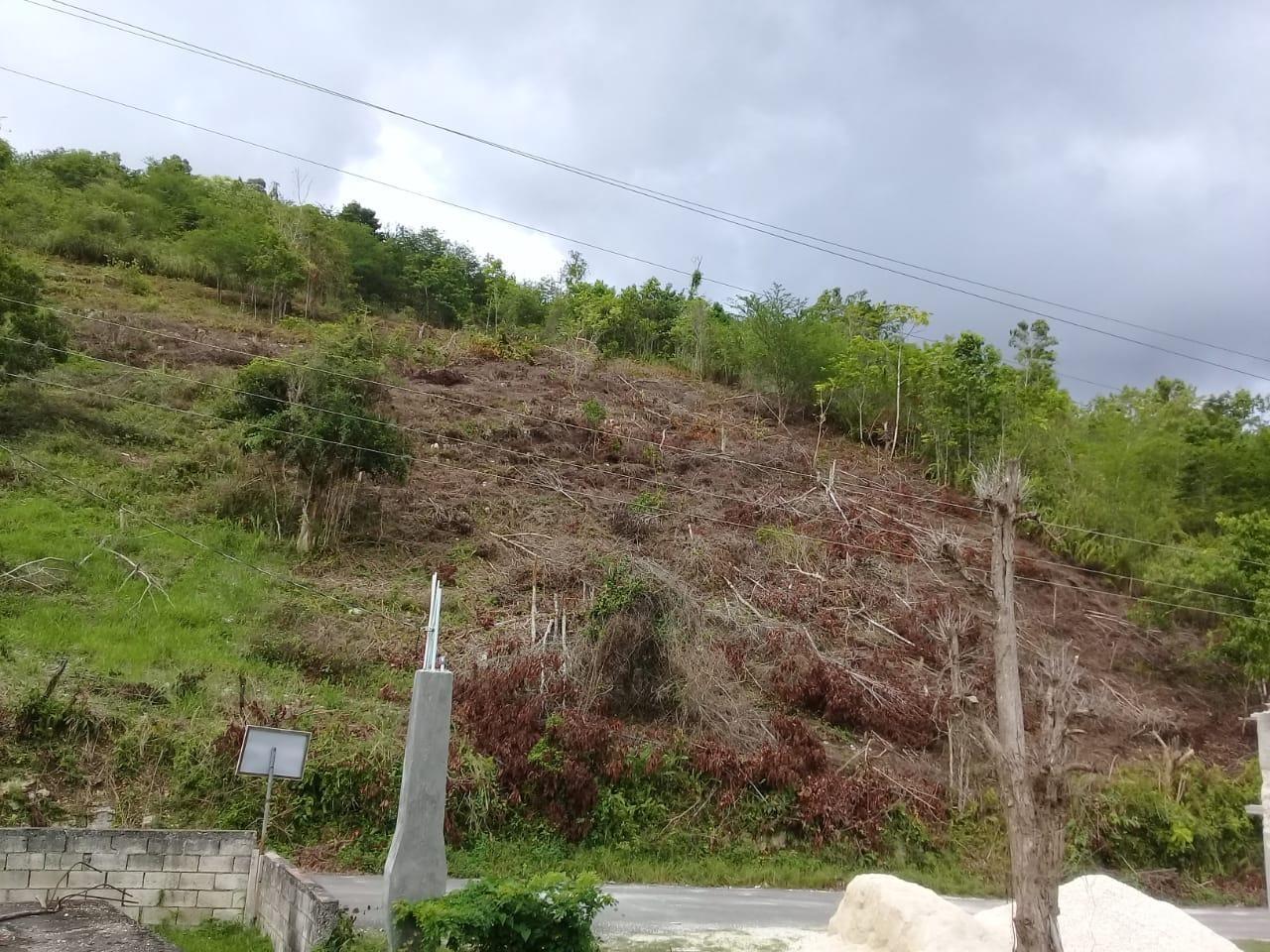 Tenth image of 8 Roehampton District in Roehamton, St. James, Jamaica - property is For Sale