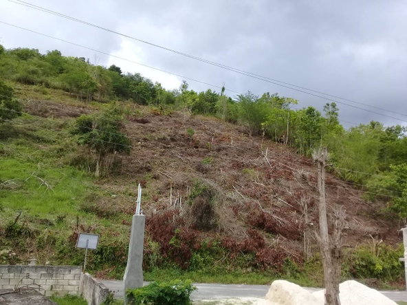 Tenth image of 8 Roehampton District in Roehamton, St. James, Jamaica - property is For Sale