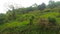 First image of 8 Roehampton District in Roehamton, St. James, Jamaica - property is For Sale