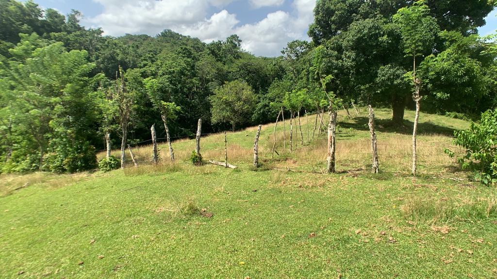 Second image of Hartford in Priestman's River, Portland, Jamaica - property is For Sale
